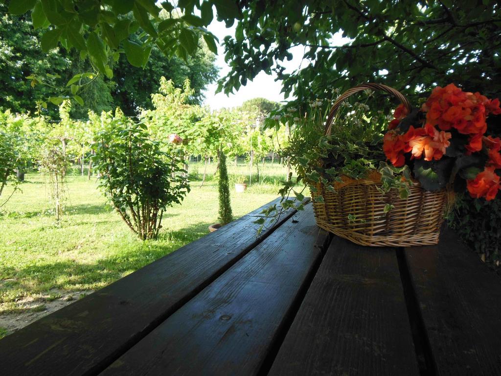Al Pic De Corone Bed & Breakfast Terzo d' Aquileia Eksteriør bilde