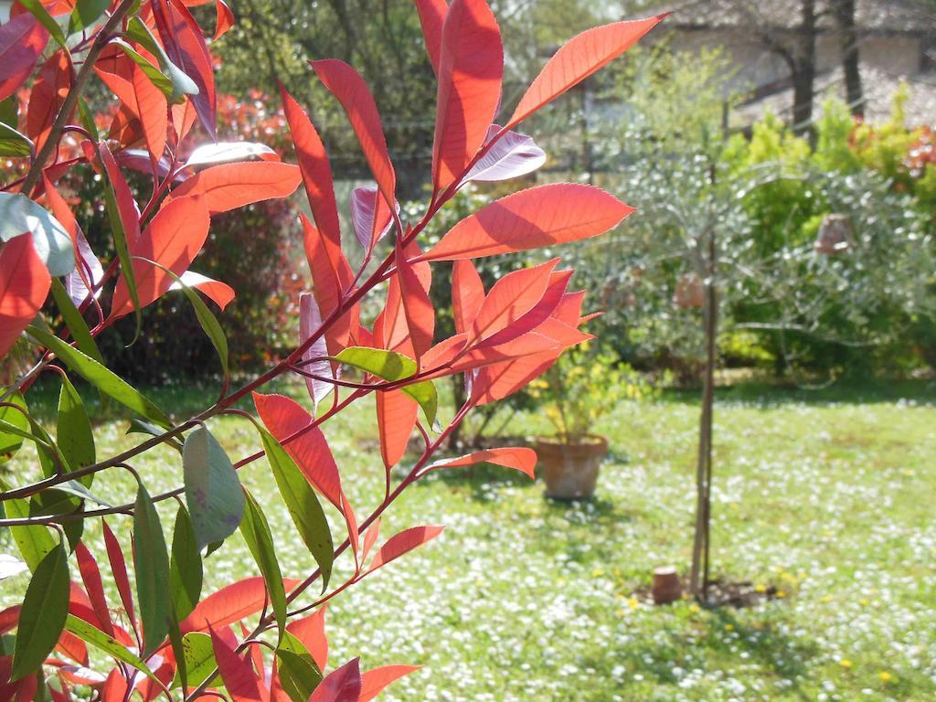 Al Pic De Corone Bed & Breakfast Terzo d' Aquileia Eksteriør bilde