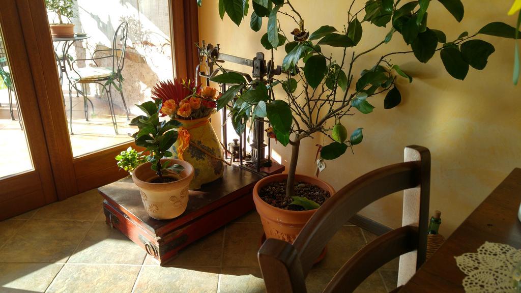 Al Pic De Corone Bed & Breakfast Terzo d' Aquileia Eksteriør bilde