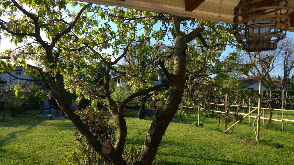 Al Pic De Corone Bed & Breakfast Terzo d' Aquileia Eksteriør bilde