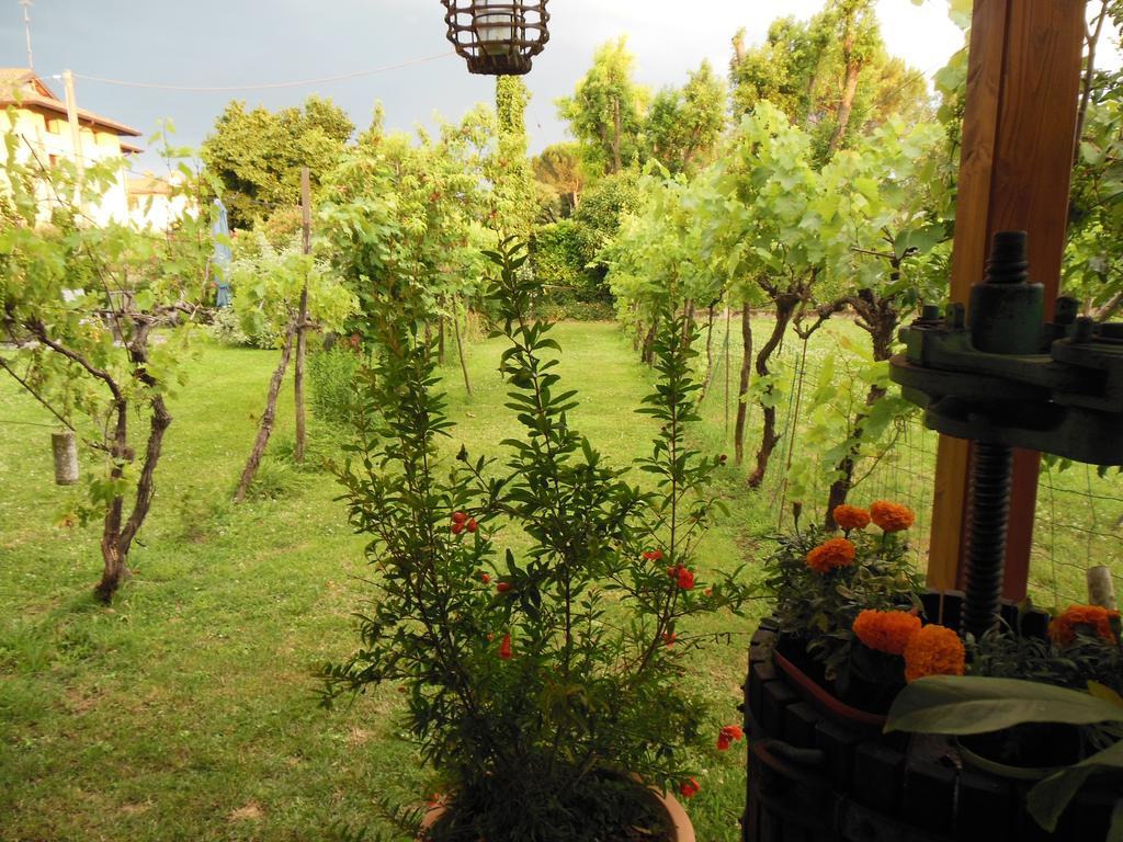 Al Pic De Corone Bed & Breakfast Terzo d' Aquileia Eksteriør bilde